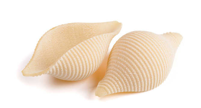seashell shaped pasta