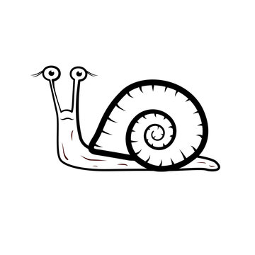Snail Illustration Isolated on White Background