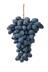 Fresh blue grape