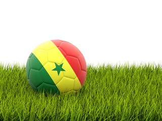 Fototapeta premium Football with flag of senegal