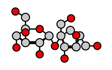 Sucrose (table sugar, saccharose) molecule.