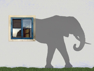 Shadows on the wall with a window, Elephant