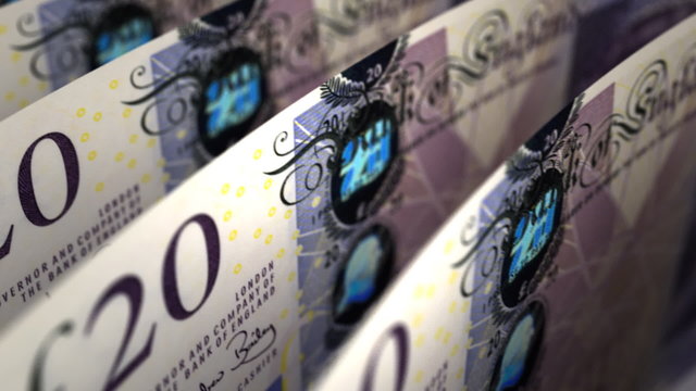 Pound Close-up (seamless)