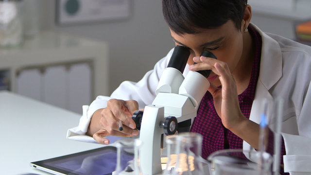 Doctor looking through microscope and using tablet