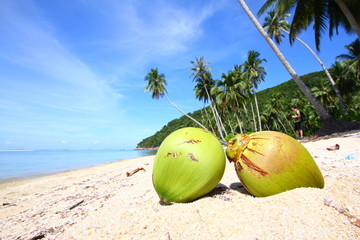Coconuts on tropical beach