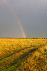 Obraz premium Rainbow Meadow
