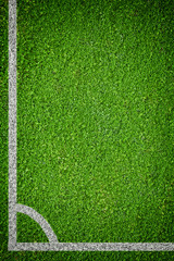 Natural green grass soccer field