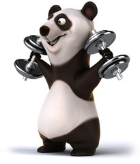 Panda © Julien Tromeur