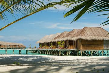 Maldives bungallow with palm tree as foreground element