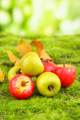 Small apples on nature background