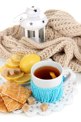 Cup of tea with lemon close up