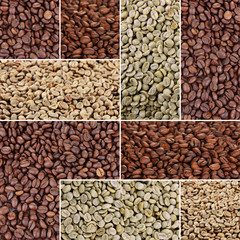 Coffee beans collage