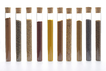 Assorted spices in test tubs