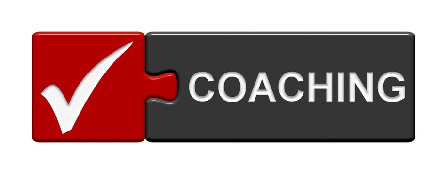 Puzzle-Button rot grau: Coaching