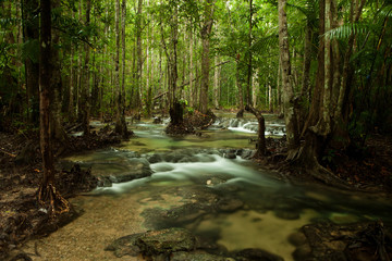 River relaxing nature landscape