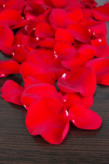 Beautiful petals of red roses on wooden table close-up