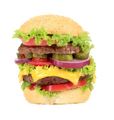 Big appetizing fast food hamburger.