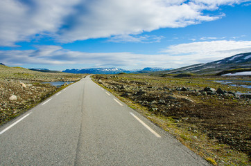 Wildniss Hochland Norwegen