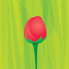 vector valentine day flower greeting card with red rose
