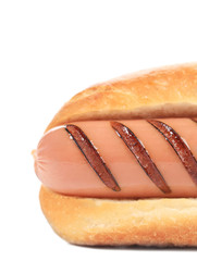 Hotdog with grilled sausage roll.