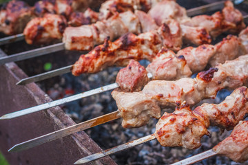 Shish Kebab In Process Of Cooking On Open Fire Outdoors