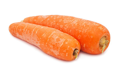Carrot
