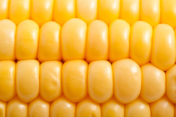 Corn