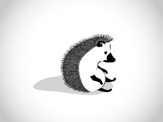 hedgehog