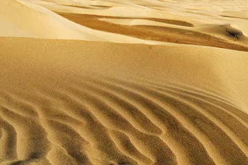 Fotobehang Natural Reserve of Dunes of Maspalomas, in Gran Canaria, Spain © nito