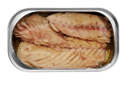 Canned Mackerel