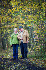 Fototapeta premium Senior couple