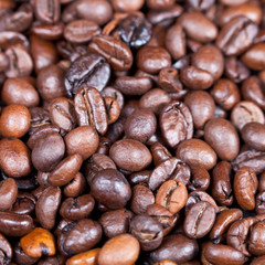 coffee beans close up