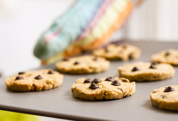 Woman with gloves holding a baked cookies tray