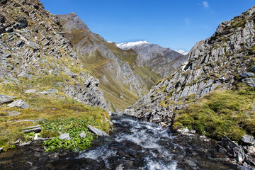 The collar of Longet, the Italian French border collar, Italy