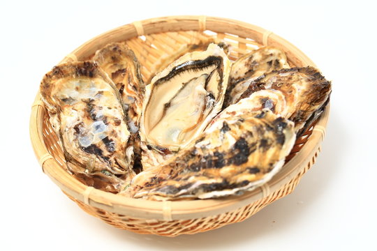 牡蠣