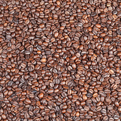 many dark roasted coffee beans