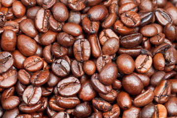 many light roasted coffee beans