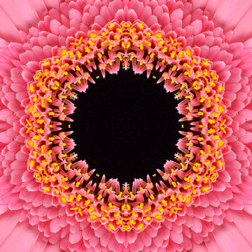 Red Concentric Flower Center. Mandala Kaleidoscopic design