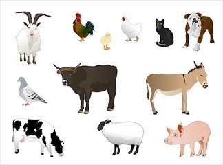 Obraz premium Haustiere