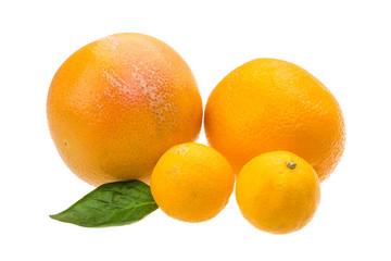 Grapefruit, tangerin and orange