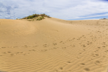 Maspalomas Duna - Desert in Canary island Gran Canaria