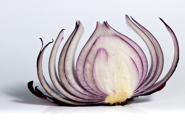 Slice of red onion - 59327531