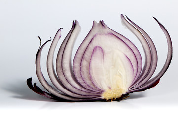 Slice of red onion