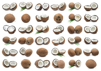 Coconuts