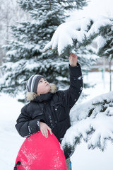 Boy in a snowy forest with a sledge