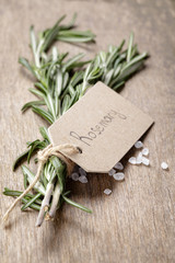 fresh rosemary bunch