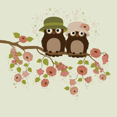 Obraz premium Owls on branch