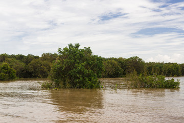 Tonle Sap lake