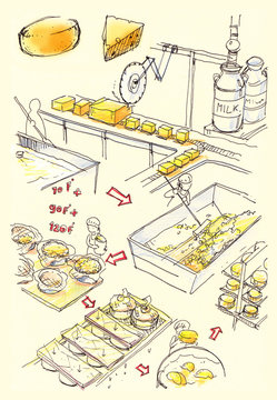 Cheese factory illustration