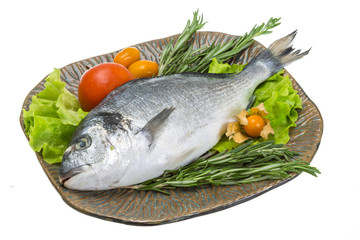 Raw dorado with herbs
